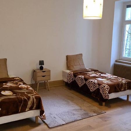Grand 4P Strasbourg Orangerie 7 Personnes Proche D Allemagne Exteriér fotografie