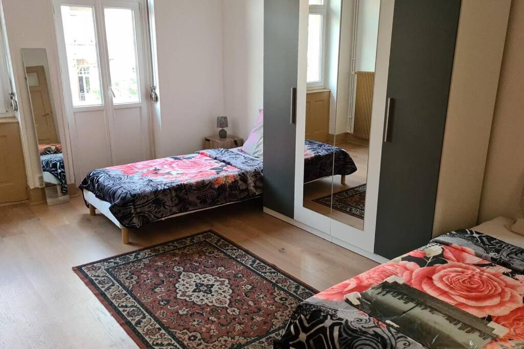 Grand 4P Strasbourg Orangerie 7 Personnes Proche D Allemagne Exteriér fotografie